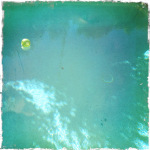 anna mosca copyrights 2013